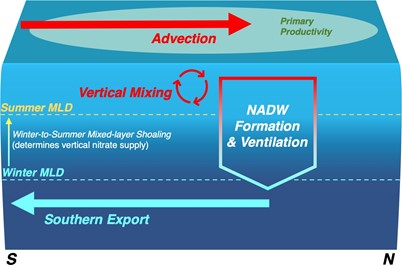 Oceanographic and biogeochemical change 