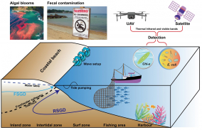 Submarine groundwater discharge and its ecological influences revealed by coupling radon-222 