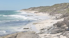 Holocene sea-level variability in Western Australia