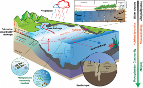 Submarine groundwater discharge 