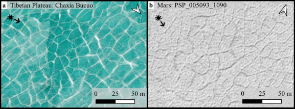 Polygonal Webs at High Latitude of the Southern Hemisphere of Mars