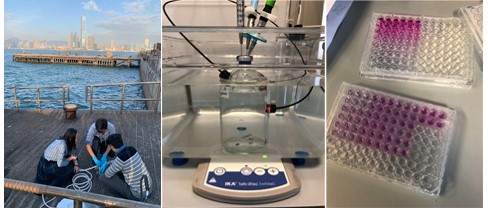 Microbial Response to Ocean Deoxygenation