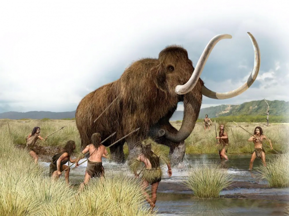 megafauna