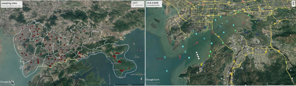 urban groundwater and the Deep Bay in Shenzhen