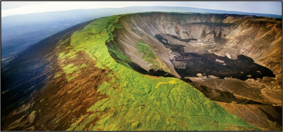 the Sierra Negra Volcano Eruption (2018)