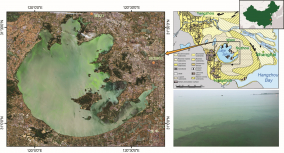 Groundwater-surface water interaction 