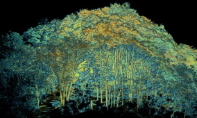 Characterizing Wildfire Fuels in Hong Kong’s Forests, Shrublands, and Grasslands