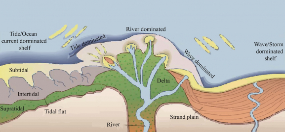 Geochemical Reactions and Solute Transport in Coastal and Deltaic Groundwater Flow Systems