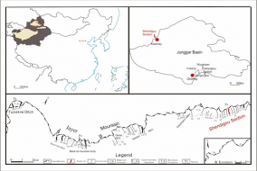 Fossil charcoal from the Middle-Upper Triassic of western Junggar Basin, Xinjiang, and its palaeoecological significance